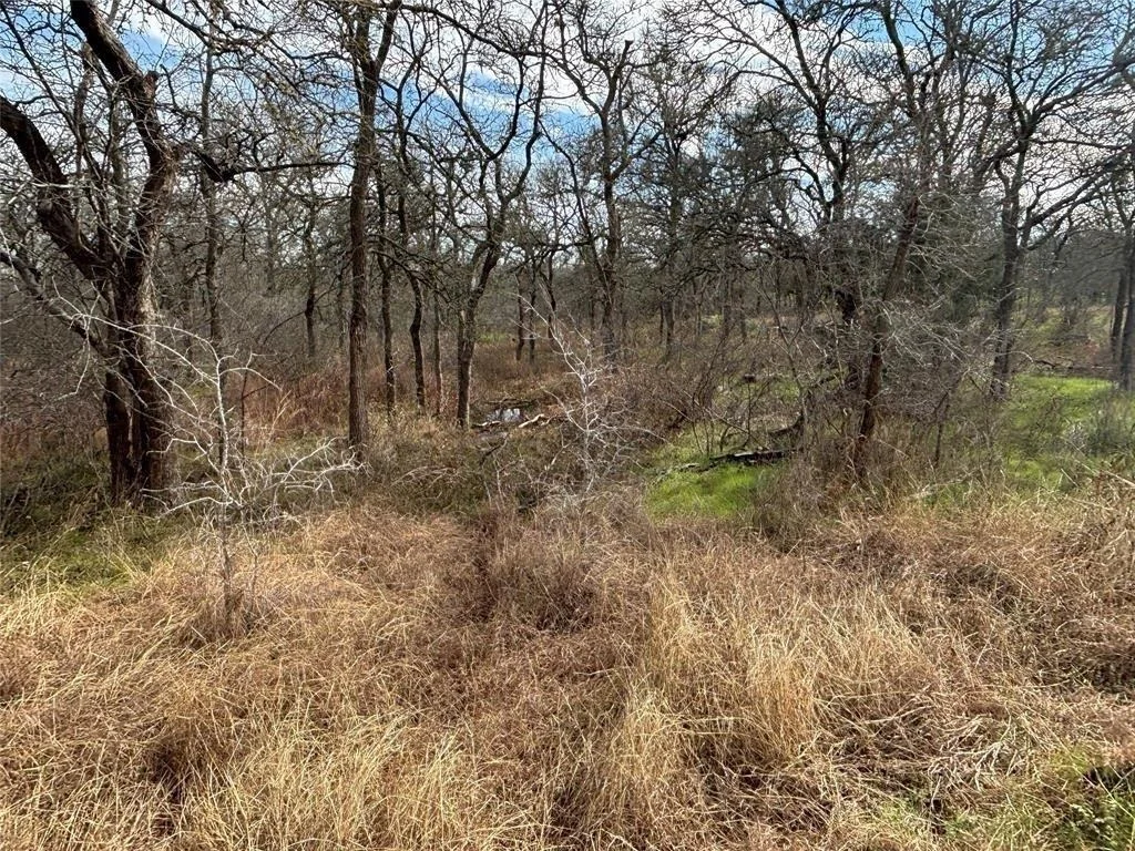 Photo of 245 Elm Forest Loop