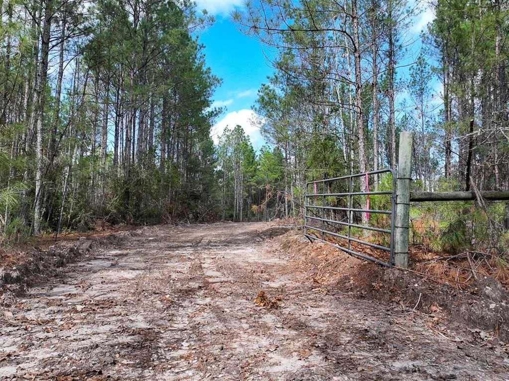 Photo of TBD Off Fm 355