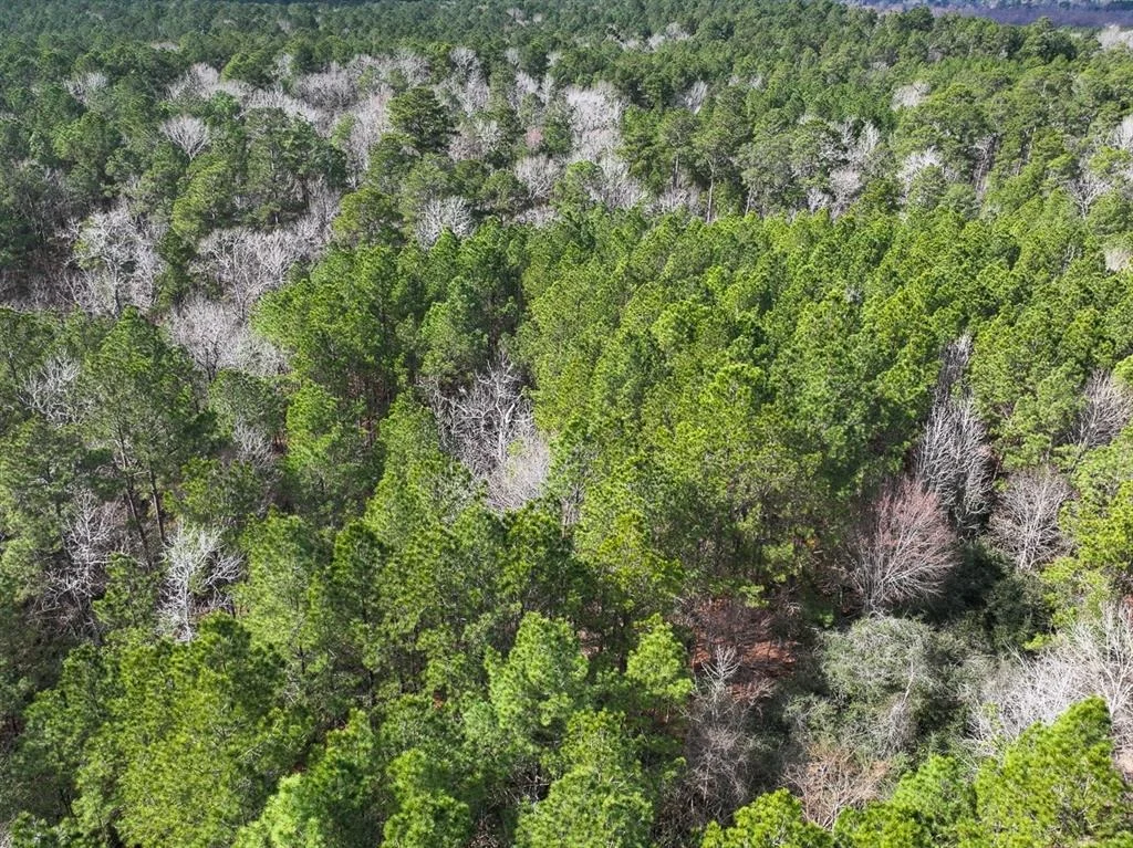 Photo of TBD Off Fm 355