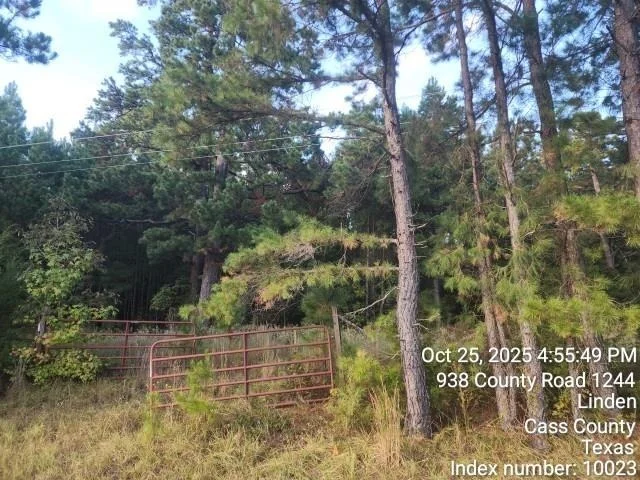 Photo of 938 County Road 1244 Road