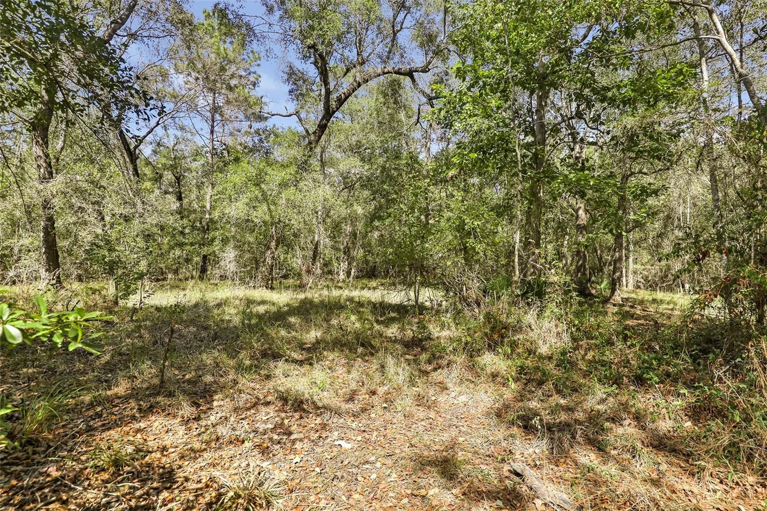 Photo of 1132 County Road 112
