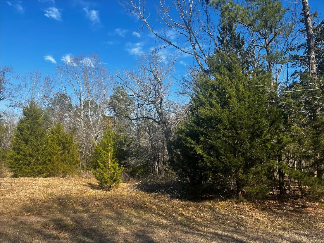 Photo of 731 N Forest Cove Loop