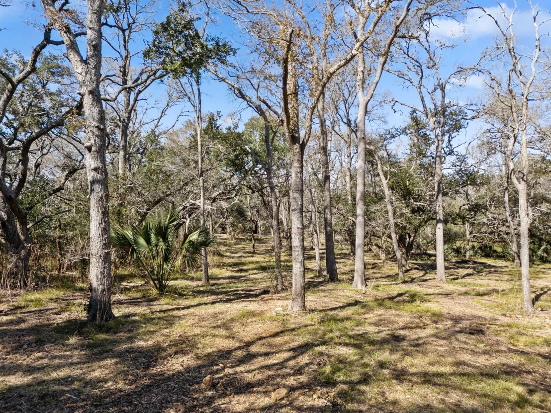 Photo of 11 River Hollow Way