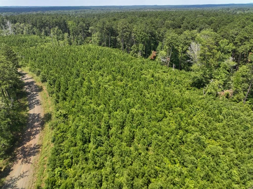 Photo of 02 Fire Tower Road