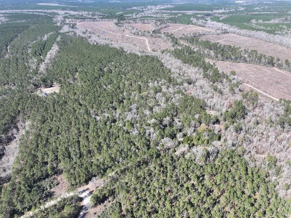 Photo of 422 County Road 4088