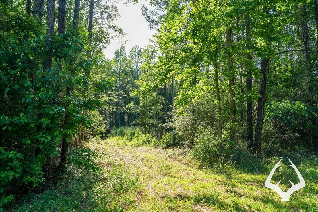 Photo of 00 Hwy 69