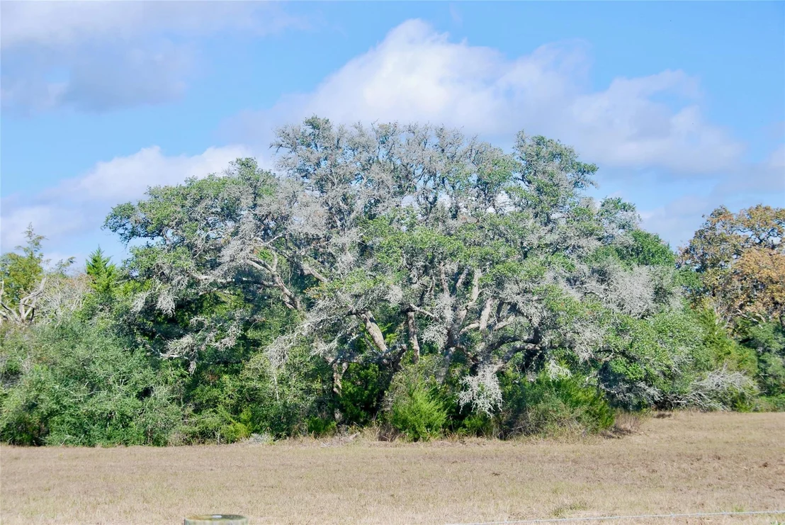 Photo of 415 County Road 457