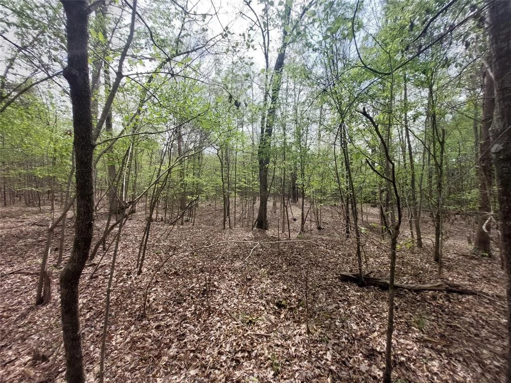 Photo of 526 Pleasure Point