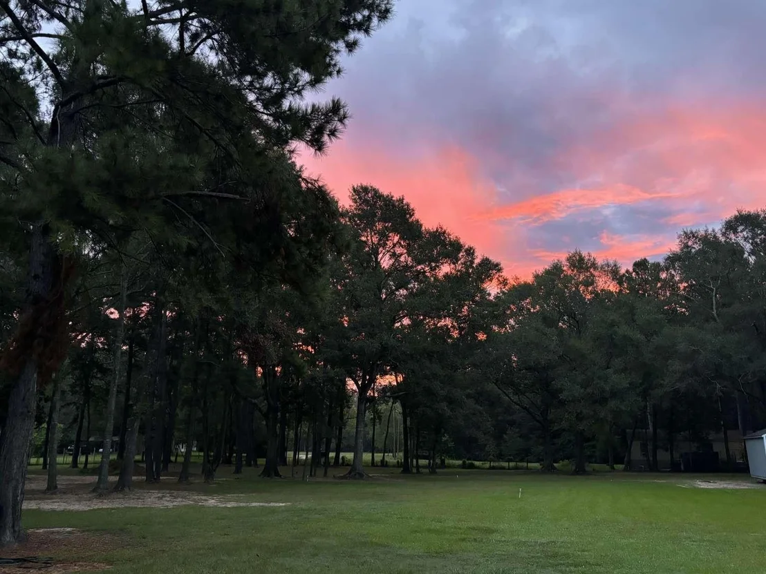 Photo of 1166 County Road 3663