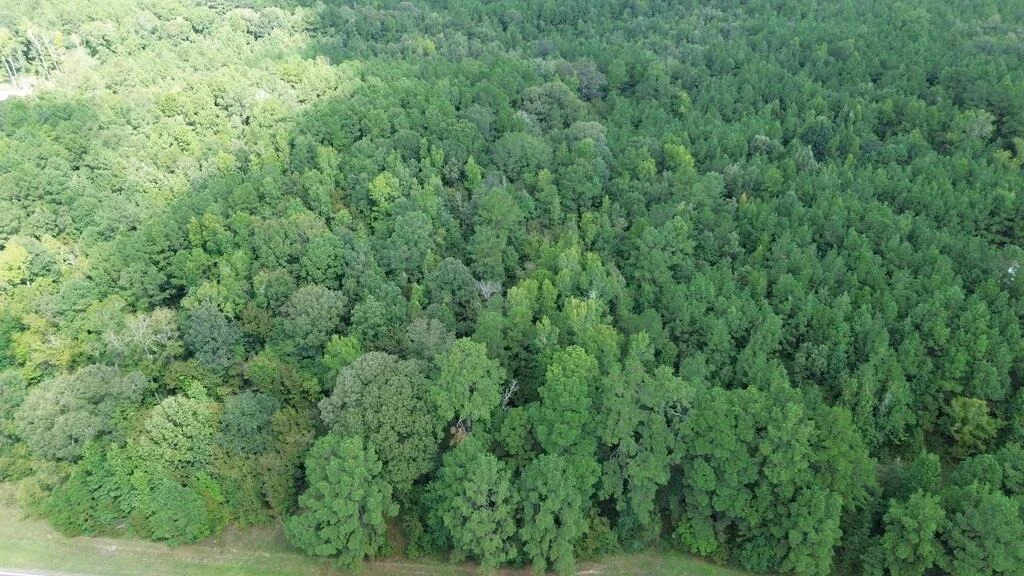 Photo of 6000 Hwy 63 W