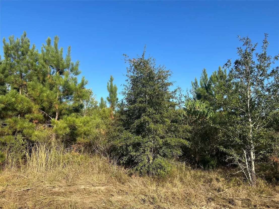 Photo of Tract 35 Fm 230