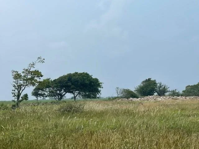 Photo of 280 County Road 470
