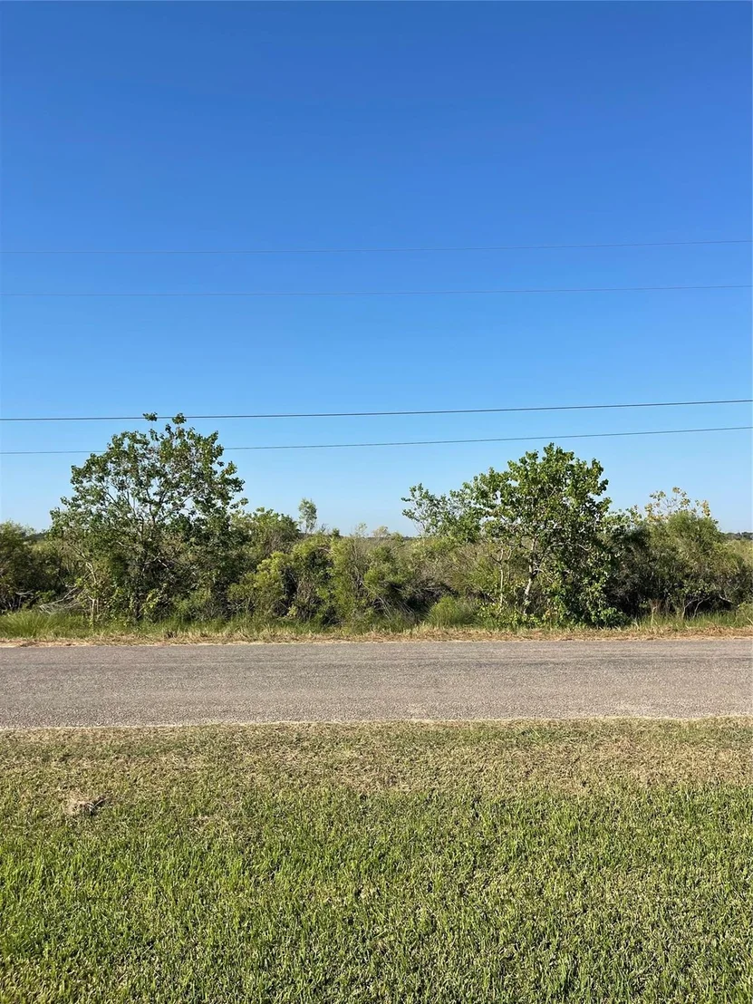 Photo of LOT 202 Cr 299 Heron Street