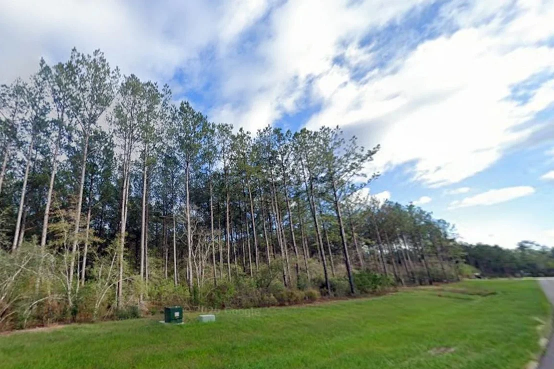 Photo of 16010 Forest Mill Road
