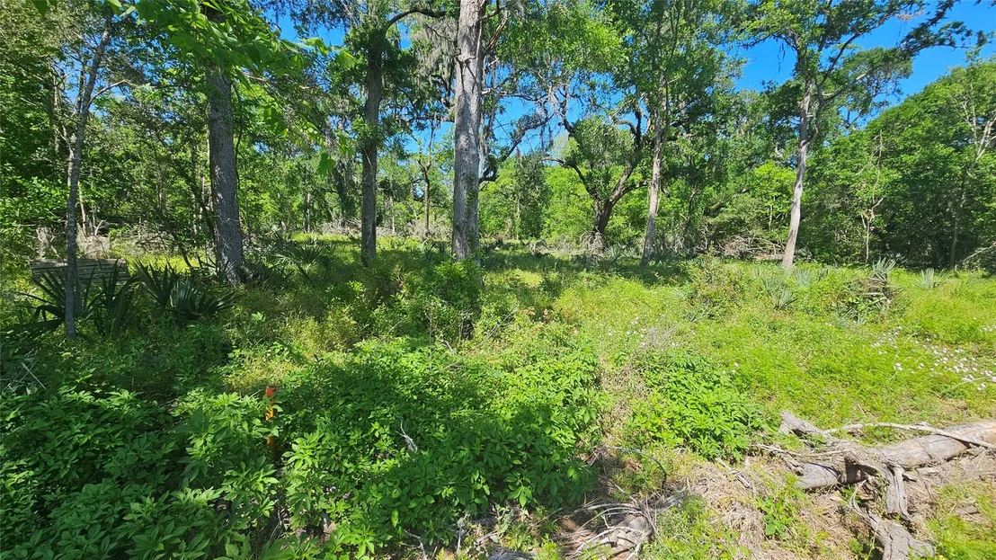 Photo of 248 Middle Bayou Trail