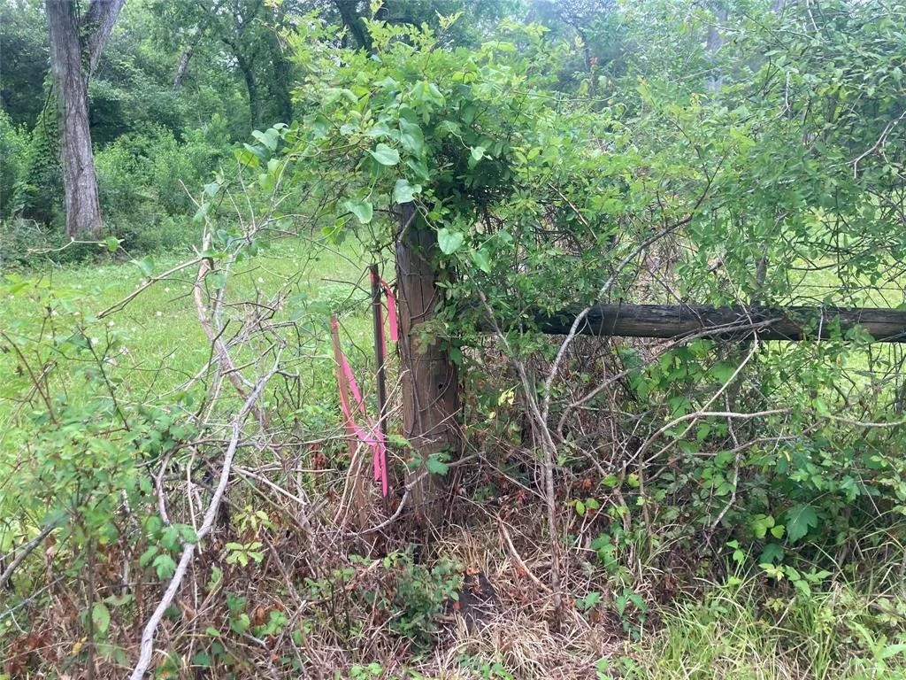 Photo of 2872 Brazoria County Road