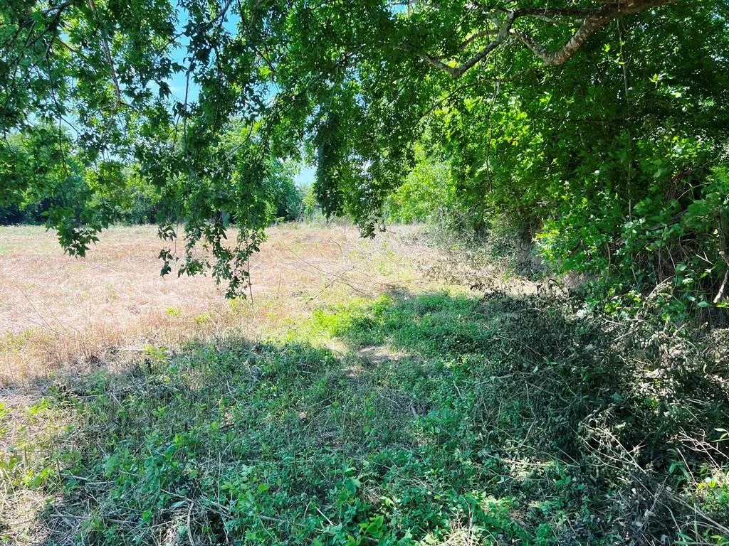 Photo of 3509 Stella Road