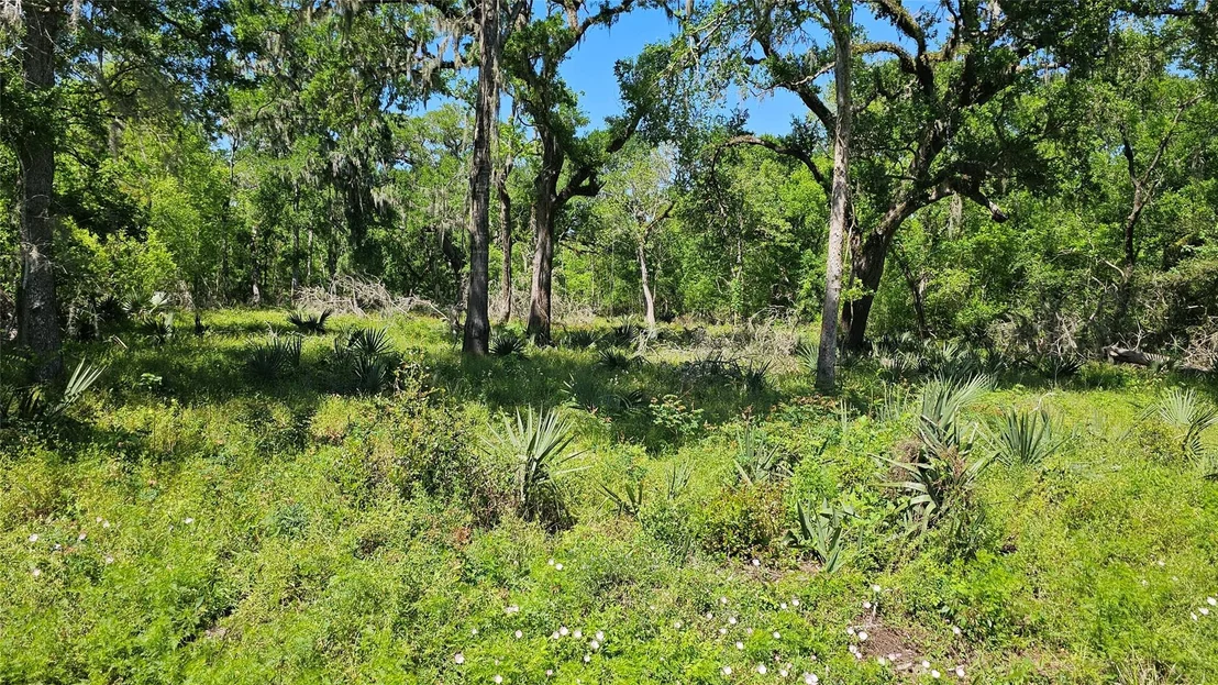 Photo of 248 Middle Bayou Trail