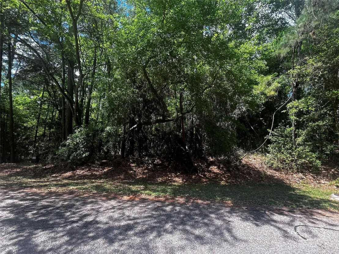 Photo of 73 Sunny Hill Drive
