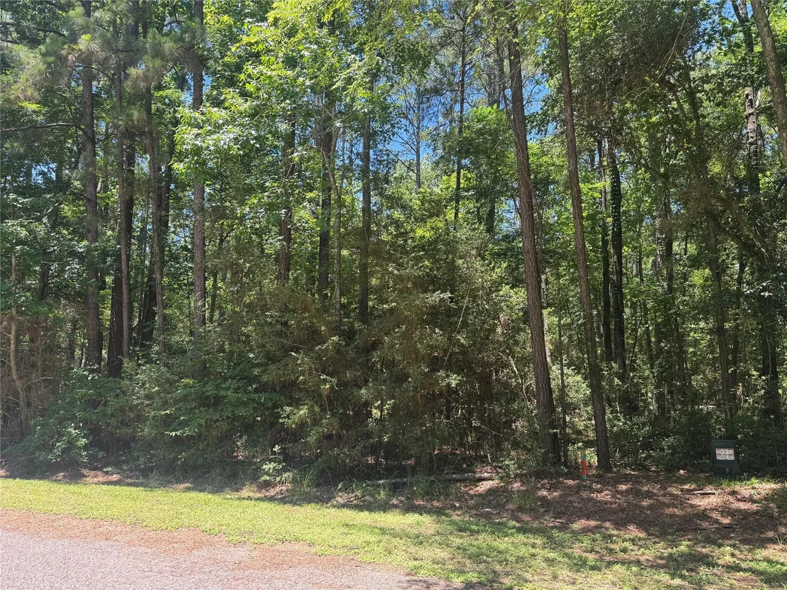 Photo of 69 Sunny Hill Drive