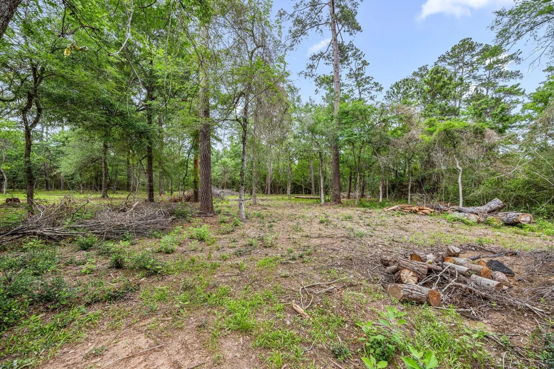 Photo of 26020 Pine Shadows Drive
