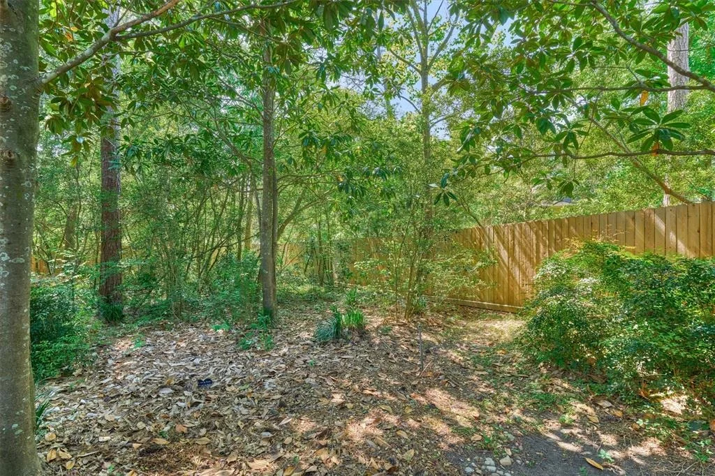 Photo of 11 E Thymewood Place