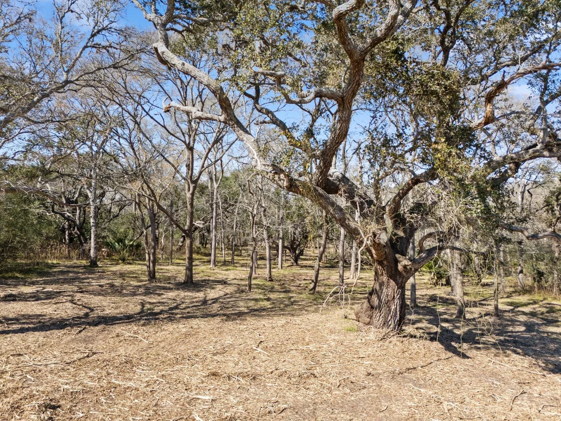 Photo of 11 River Hollow Way
