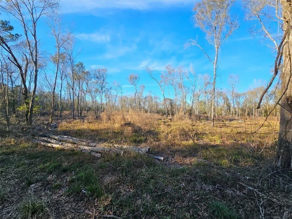Photo of 196 Sherwood Drive