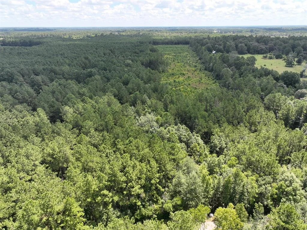 Photo of 02 Cr 4470
