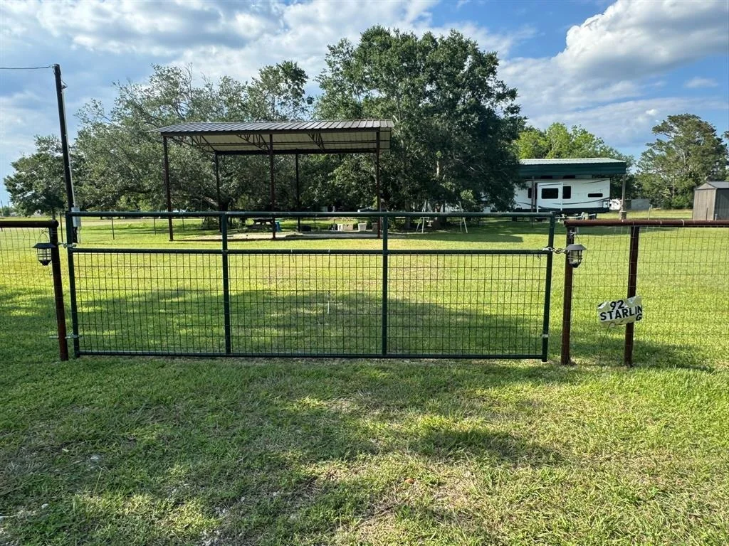 Photo of 92 Starling