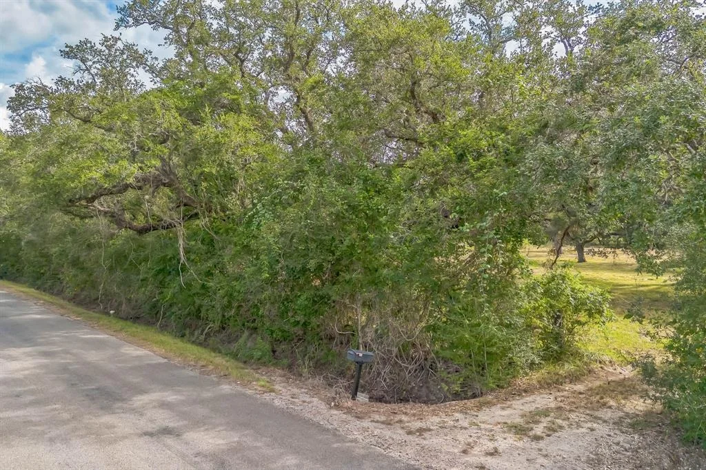 Photo of 2932 County Road 126