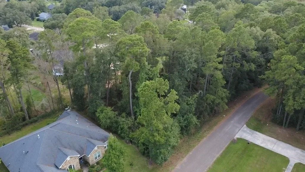 Photo of 31 Holly Springs Drive