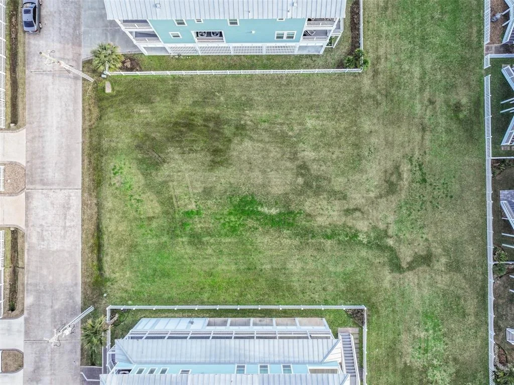 Photo of 3810 Wentletrap