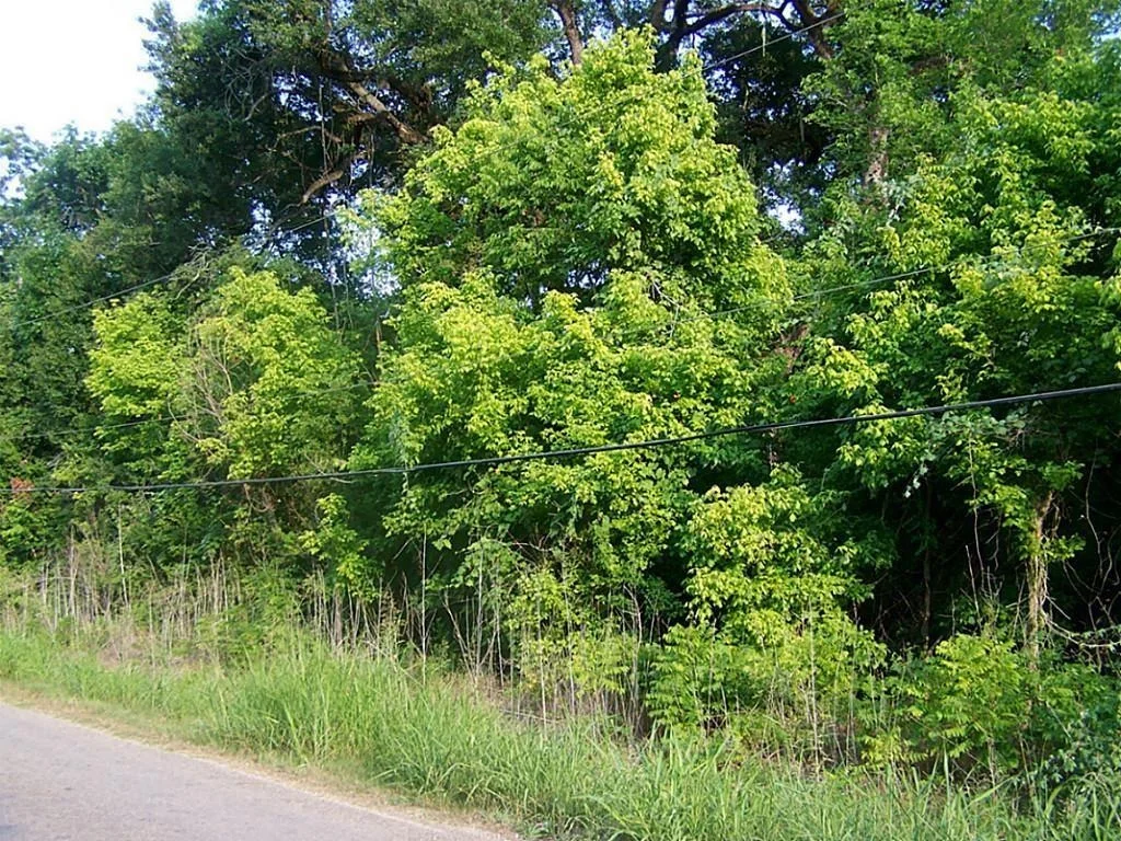 Photo of 433 Manila Drive