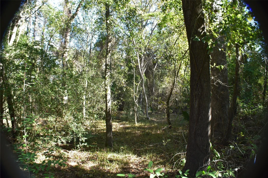 Photo of 3415 Evergreen Drive
