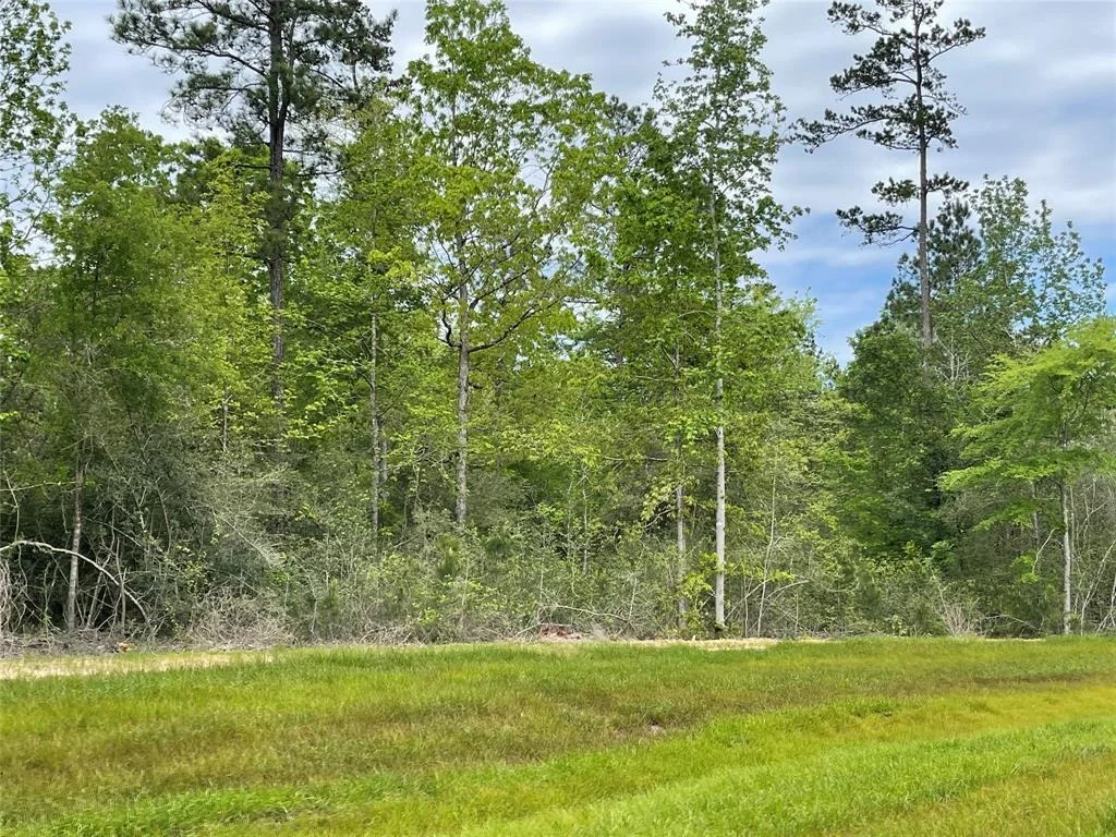 Photo of 11911 Grand North Road