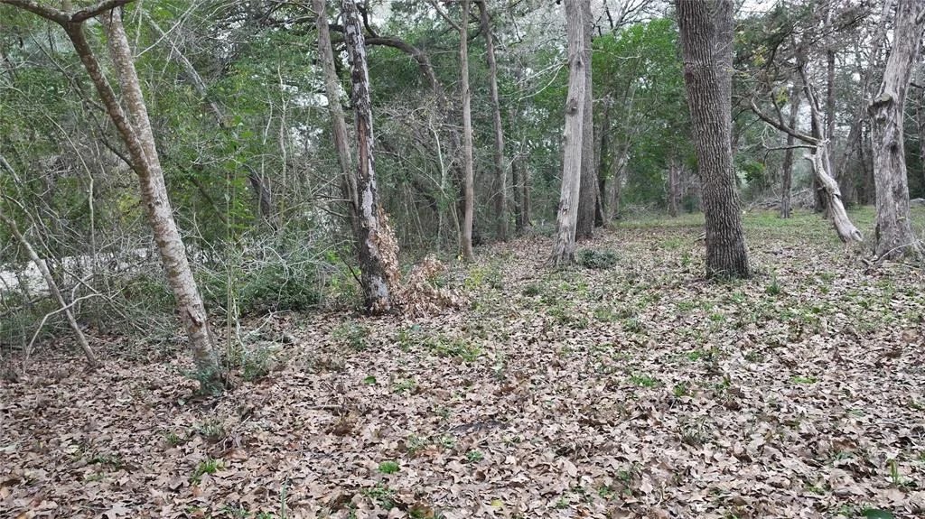Photo of 576 Hickory Bend Road