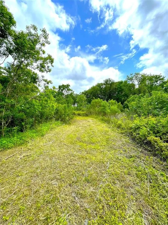 Photo of 5135 County Road 288