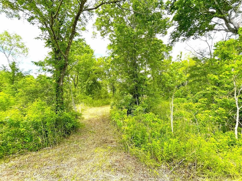 Photo of 5135 County Road 288