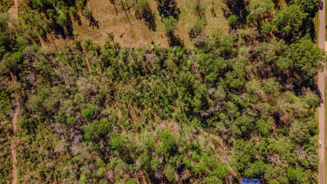 Photo of 1234 County Road 2145