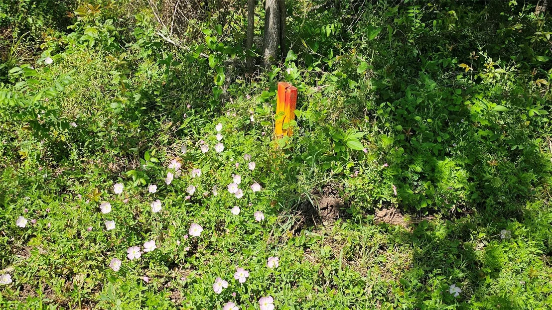 Photo of 248 Middle Bayou Trail