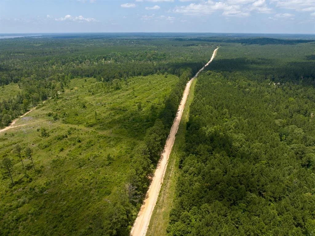 Photo of TBD Fm 355