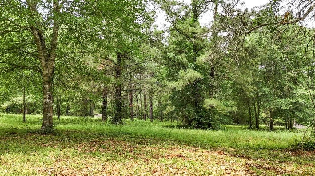 Photo of 2700 Spring Branch Road