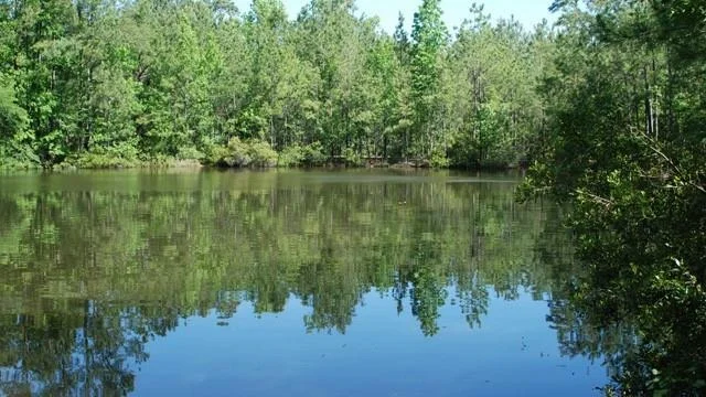 Photo of 24339 Stargazer Point