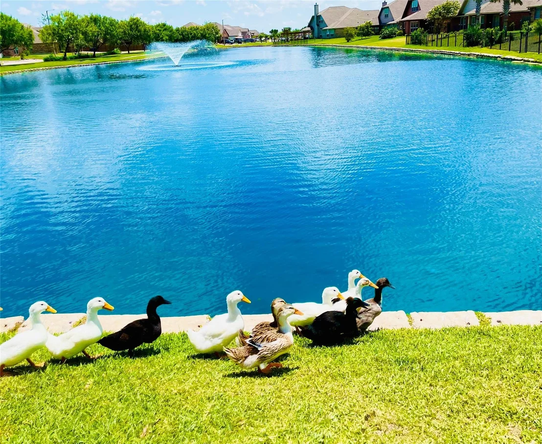Photo of 7238 Vanessa Drive