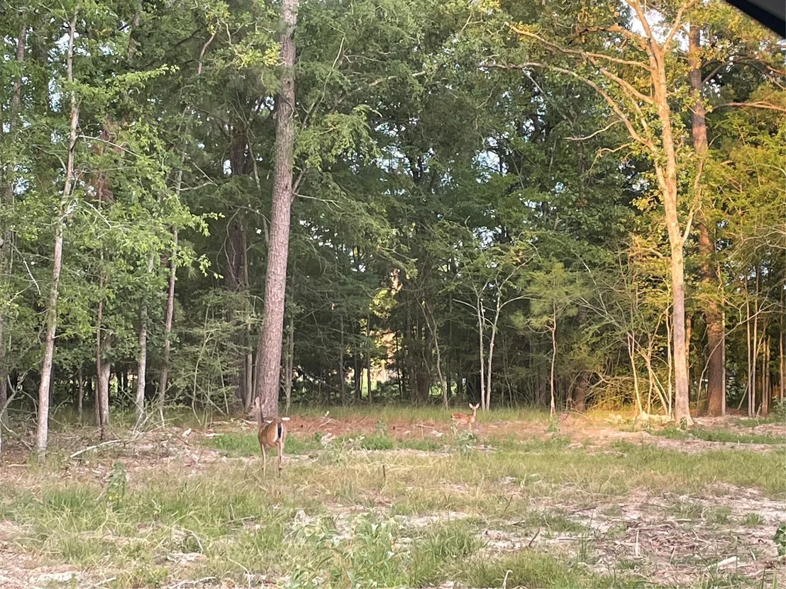 Photo of TBD N Clear Spring Road