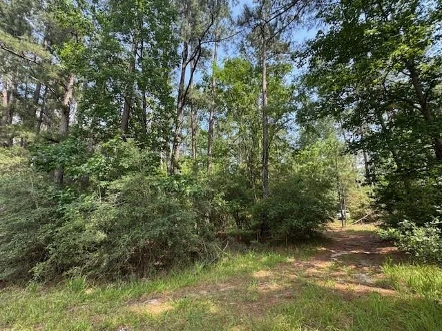 Photo of 91 Meadow Lake Drive