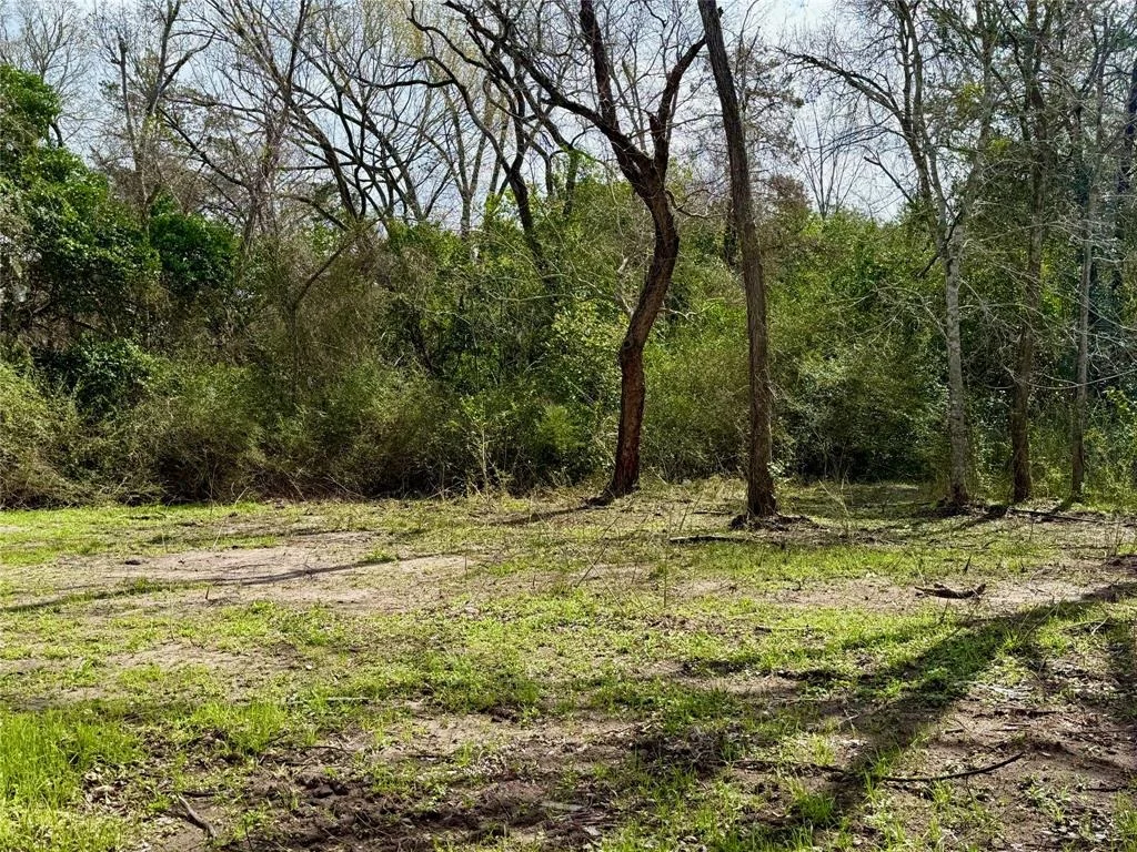 Photo of 1309 Hidden Creek Lane