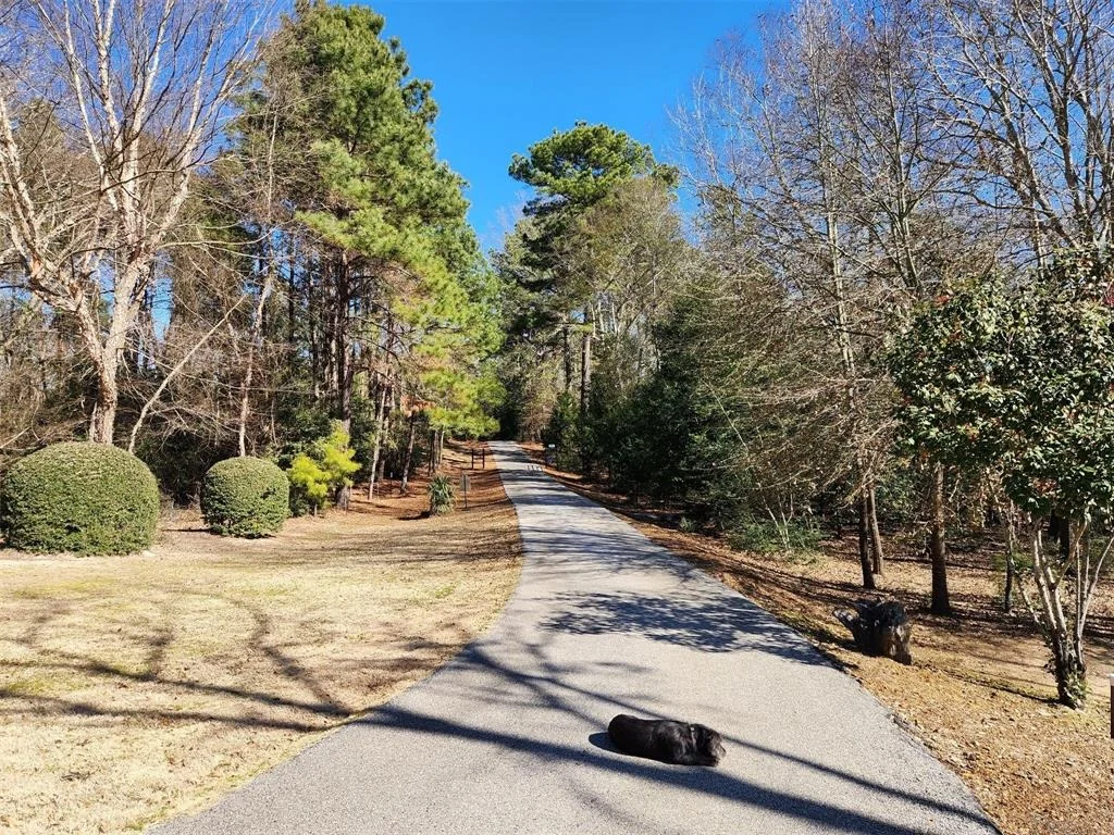 Photo of 435 An County Road 3763
