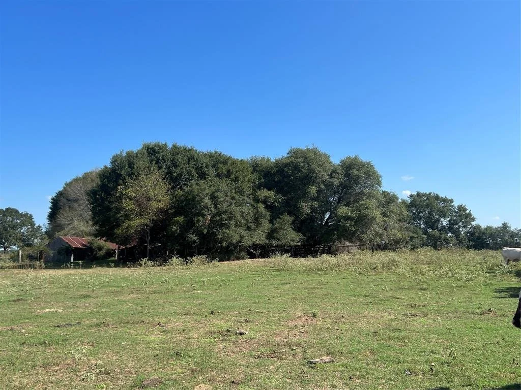 Photo of 0 Schultz Road